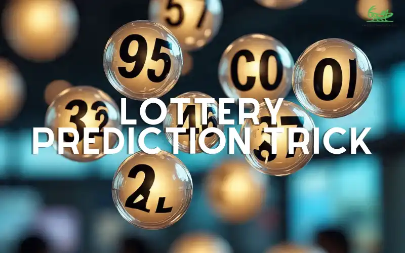 lottery prediction trick