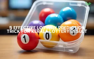 lottery prediction trick